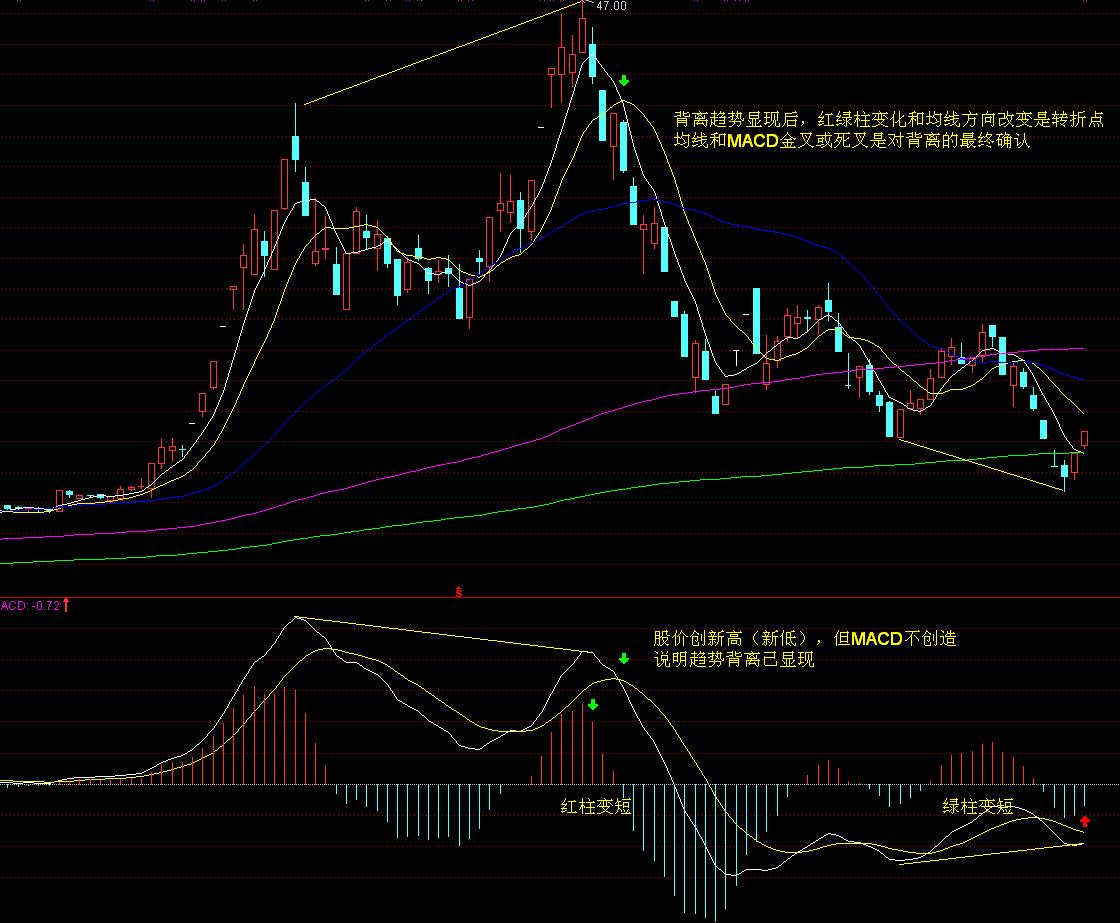 飞塔信息(FTNT.US)Q2业绩出色遭遇市场反响平淡,保守指引导致盘后股价大跌17%