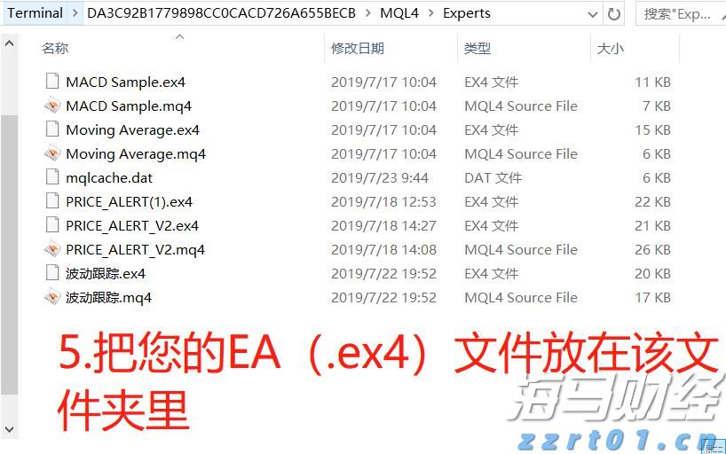 “稀客”紫背椋鸟到访福建
